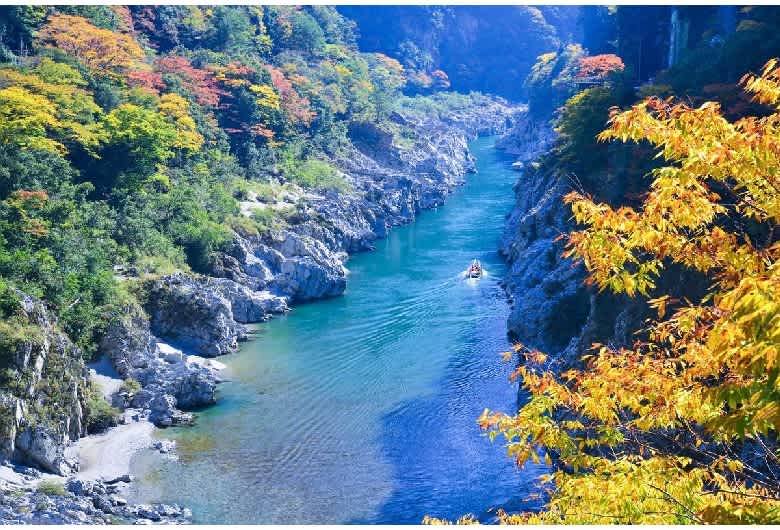 徳島